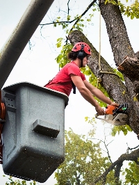 Brick City Tree Service