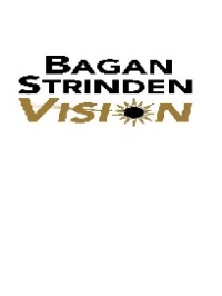 Local Business Bagan Strinden Vision in Fargo ND