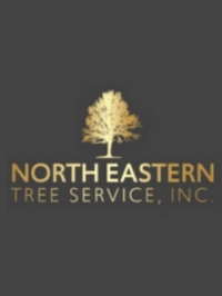 North Eastern Tree Service