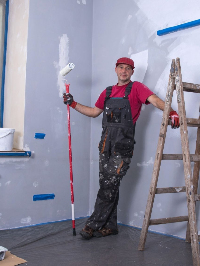 Local Business Frisco Painting Solutions in Frisco TX