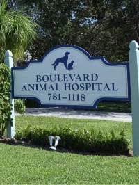 Local Business Boulevard Animal Hospital in Stuart FL