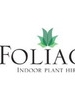 Local Business Foliage Indoor Plant Hire in Hawthorn VIC