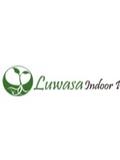 Local Business Luwasa Indoor Plant Hire in Clayton VIC
