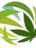 Cannabis Website Marketing