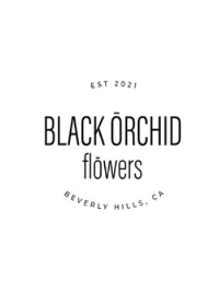 Black Orchid Flowers