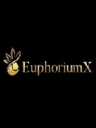 Local Business EuphoriumX Ltd in Enfield 