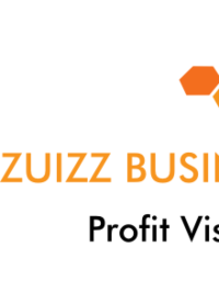 Zuizz Business service