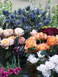 10 of the Best Melbourne Florists