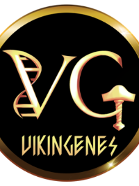 Vikingenes